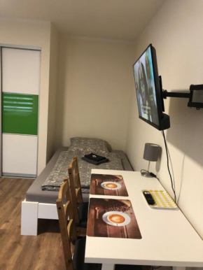 GottwaldHaus-Freiberg-Apartment / B